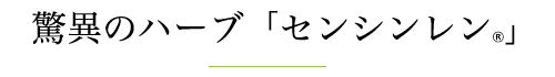 驚異のハーブ「センシンレン」