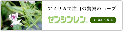 アメリカで注目の驚異のハーブ　センシンレン